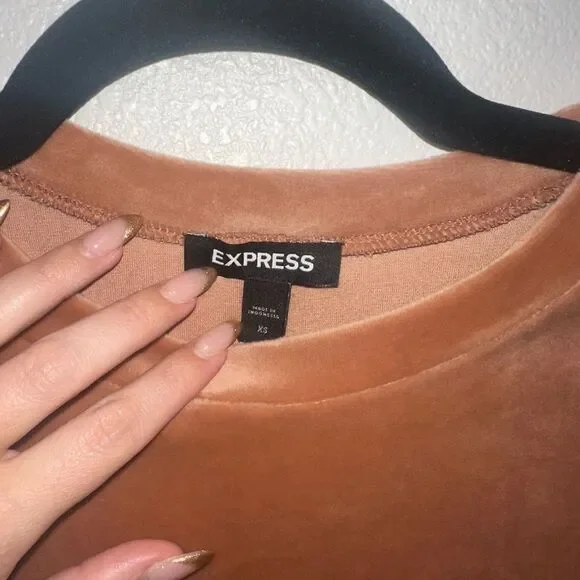Express Champagne Colored Top - Picture 2 of 4